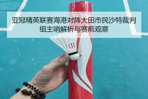 亚冠精英联赛海港对阵大田市民沙特裁判组主哨解析与赛前观察